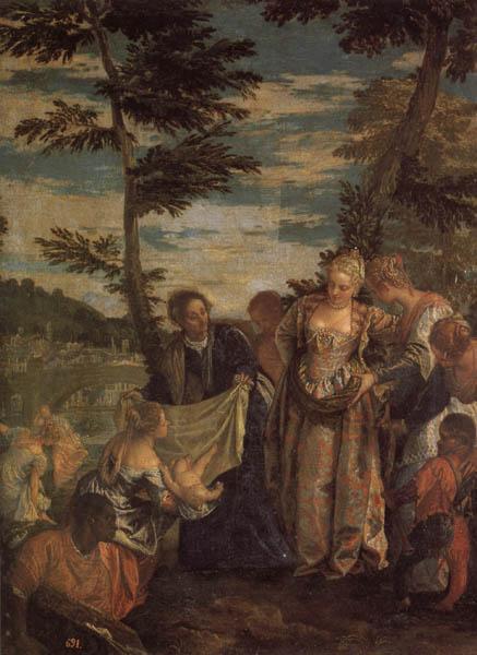 VERONESE (Paolo Caliari) Moses Saved from the Waters of the Nile oil painting picture